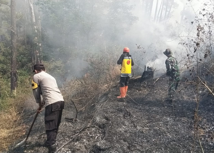 Karhutla Gunung Botak Sine Ngawi Belum Padam, Polisi Perkuat Pemantauan dan Upaya Pemadaman