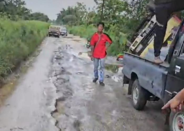 Truk Terguling akibat Jalan Rusak Parah di Lamongan, Warga Desak Perbaikan