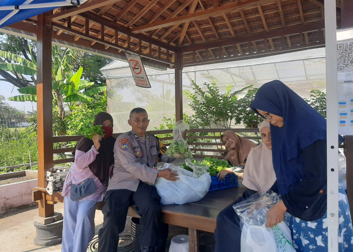 Dukung Ketahanan Pangan, Polres Pelabuhan Tanjung Perak Dampingi Panen Hidroponik KWT Dorang Cinta