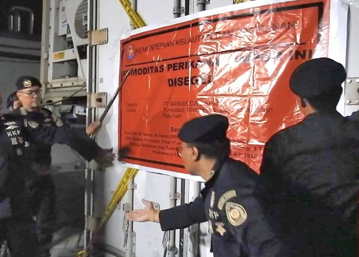 KKP Segel 900 Ton Udang Impor di Pasuruan, Perusahaan Pastikan Sesuai Standar
