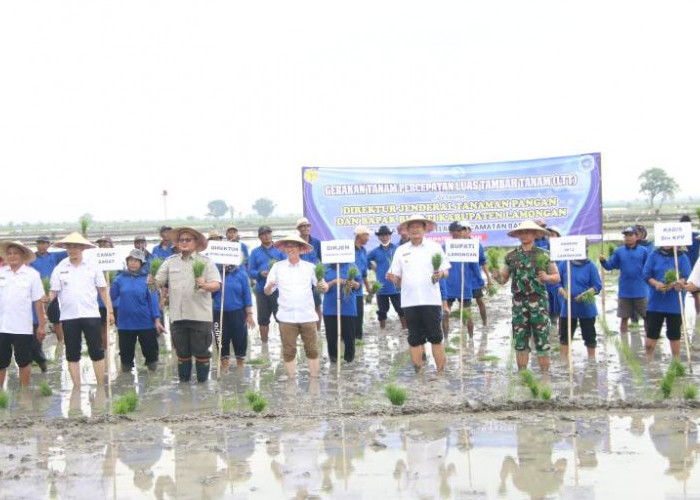 Dirjen Tanaman Pangan Kementan RI Dorong Ketahanan Pangan Nasional melalui Rakor LTT di Lamongan