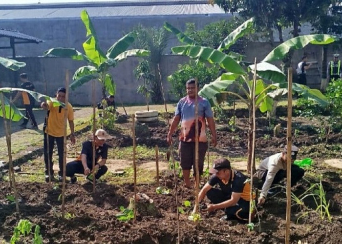 Lahan Kosong Polsek Blimbing Ditanami Bibit Uwi Ungu Dukung Ketahanan Pangan di Malang