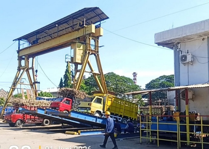 Masuk Musim Giling, PG Asembagus Serap Ribuan Tenaga Kerja di Situbondo Timur