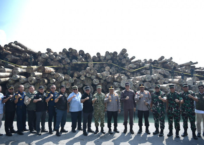 Kepala BPKP RI Apresiasi Satgas PKH Ungkap Kasus Illegal Logging Rp240 Miliar di Gresik