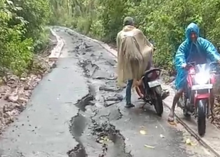 Jalan Wisata Pantai Bandealit Ambles, Padahal Baru Saja Dibangun