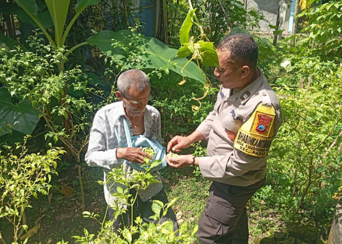 Bhabinkamtibmas Padas Monitoring Pekarangan Sayur Warga, Dukung Ketahanan Pangan di Ngawi 