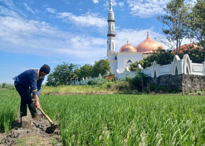 9 Tahun, Tanah Bengkok Desa Purwosari Dikuasai Pemkab Madiun Tanpa Ganti Untung