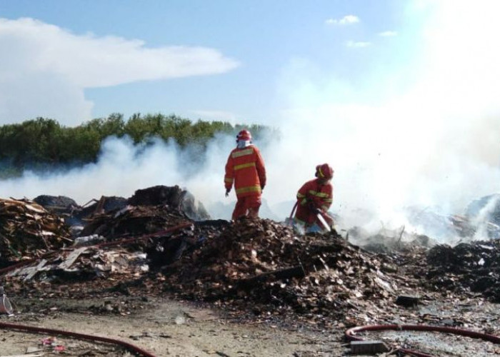 Lahan Limbah Kayu di Kebomas Gresik Terbakar, Diduga Akibat Pembakaran Tanpa Pengawasan