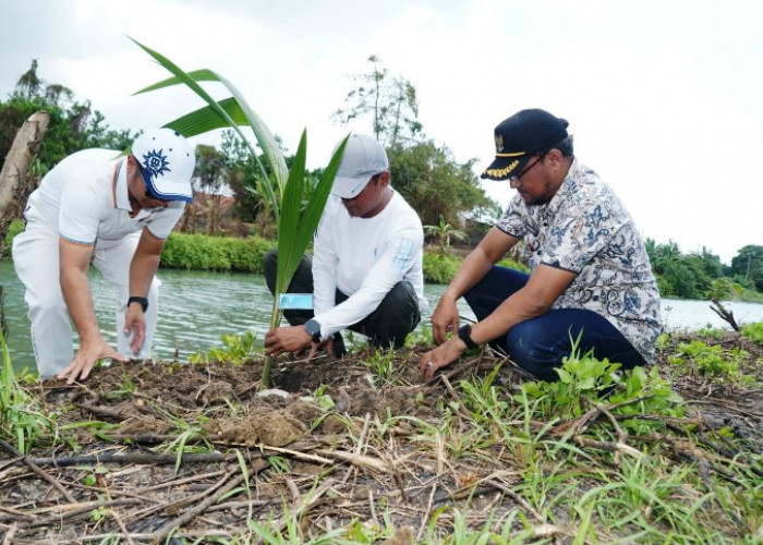 Targetkan Pengembangan 100 Hektare, Bupati Bangkalan Tanam Kelapa Bersama Anggota Poktan Kencat