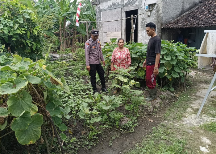 Bhabinkamtibmas Kedunggalar Monitoring Tanaman Lombok Warga, Dukung Ketahanan Pangan di Ngawi