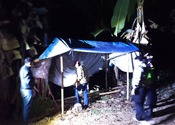 Polisi Bongkar dan Bakar Arena Judi Sabung Ayam di Singosari
