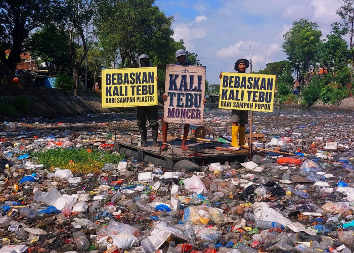 Aktivis Lingkungan Ingatkan Ancaman Mikroplastik Racuni Ekosistem Kali Tebu