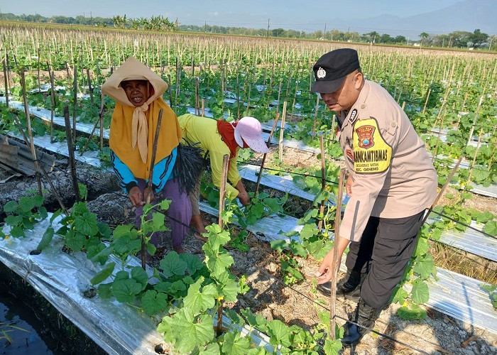 Bhabinkamtibmas Geneng Monitoring Pekarangan Pangan Bergizi, Dorong Ketahanan Pangan Warga Ngawi
