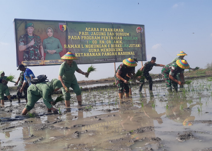 Program Megilan Pertanian Kodim Lamongan Dikunjungi Kapoksahli