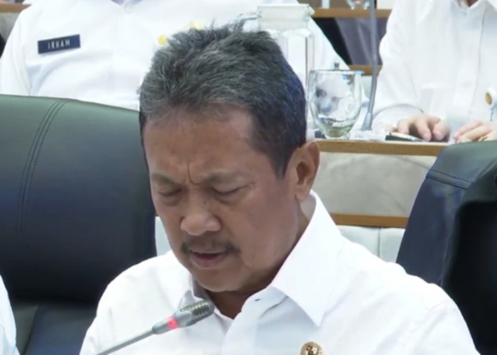 Produksi Ikan Nasional Diproyeksikan Capai 10,57 Juta Ton hingga Akhir 2026