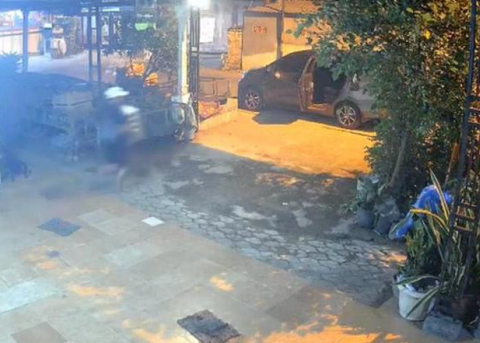 Curi Ribuan Telur Bebek di Mojokerto Terekam CCTV