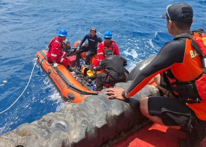 Penyelam Basarnas Temukan Satu Korban KM Virgo Transport 8 di Laut Jawa