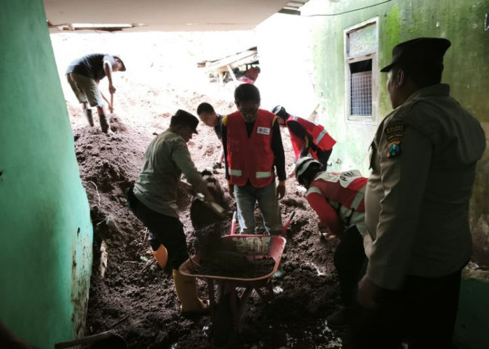 Warga dan Seekor Sapi Tertimbun Longsor di Nongkojajar Pasuruan
