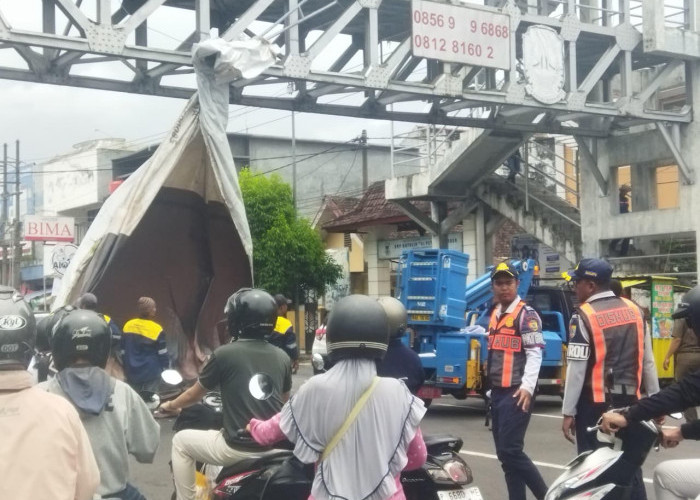 Jember 'Cuci Gudang', Satgas Sikat Habis Reklame dan Atribut Parpol Bodong