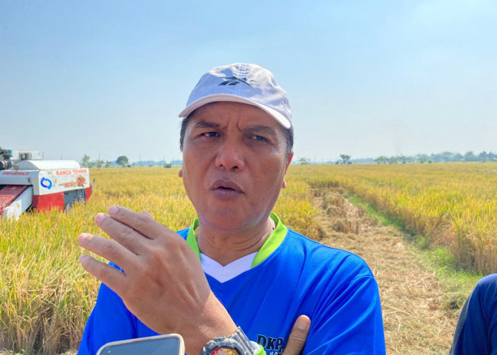 Musim Kemarau, DKPP Kota Madiun Pasang 120 Sumur Sibel untuk Lahan Pertanian