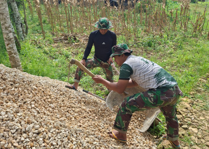 Satgas TMMD 127 Kodim 0827/Sumenep Kebut Pengangkutan Kerikil RTLH di Mandala