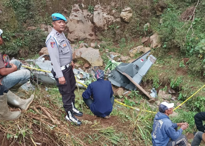Berikut Kesaksian Warga sebelum Dua Pesawat TNI AU Jatuh di Lereng Gunung Bromo 