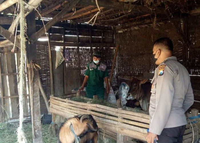 Polsek Temayang Bersama Mantri Hewan Cek Hewan di Desa Kedungsumber