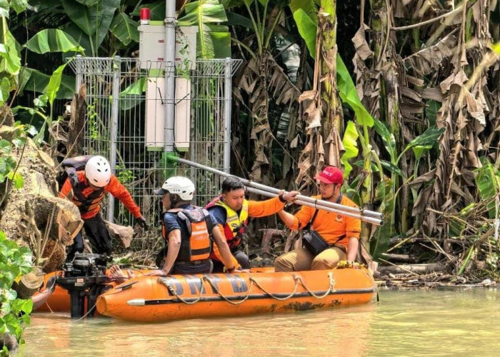 Alat Deteksi Banjir di Jombang Roboh Diterjang Material Pohon, BPBD Jatim Turun Tangan
