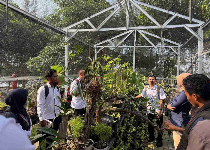PT Terminal Teluk Lamong secara resmi meluncurkan Green House Titik Hijau dan Terima Tanaman Langka