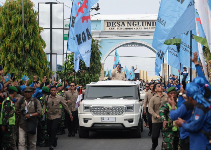 Presiden Prabowo Sebut Banyak Negara Minta Bantuan Pupuk hingga Beras ke Indonesia di Tengah Gejolak Dunia