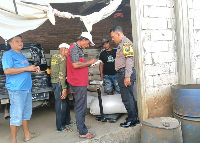 Dukung Ketahanan Pangan, Polsek Sukorejo Fasilitasi Penjualan Hasil Panen Jagung ke Bulog