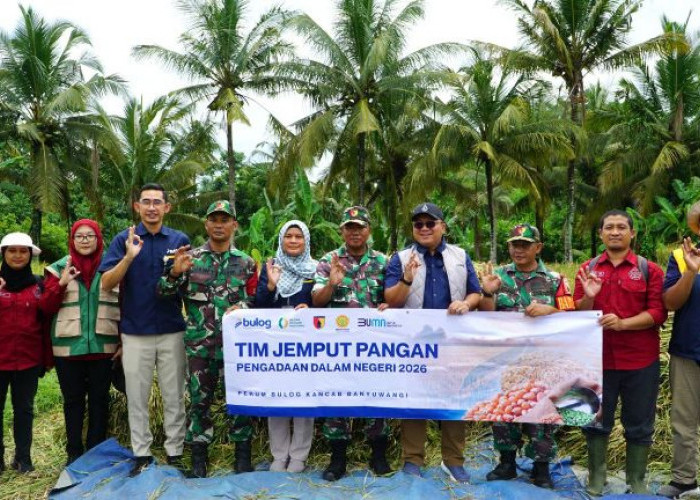Serapan Beras Bulog Jatim Tembus 100 Ribu Ton, Lampaui Target Bulanan