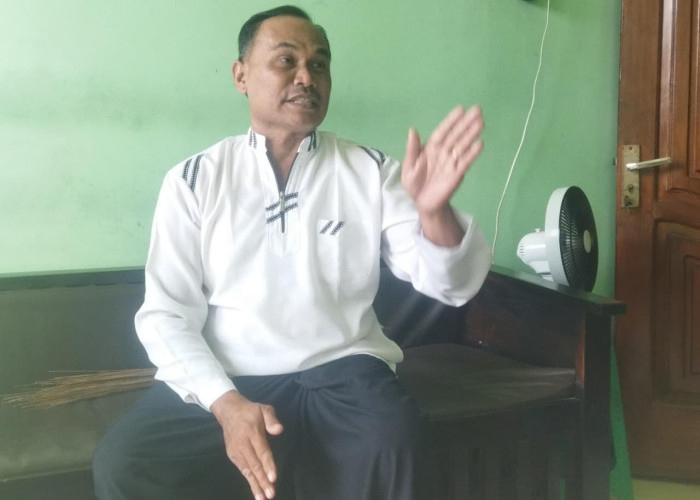 Di Balik Secangkir Kopi Panti Ada Perjuangan 1,5 Tahun Menjaga Kehidupan Bibit Robusta