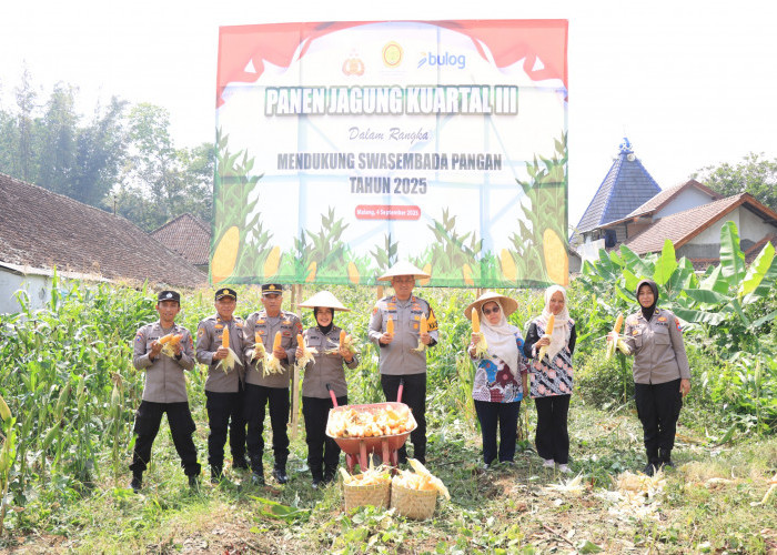 Polres Malang Panen Jagung 1 Ton di Lahan Mapolsek Tumpang