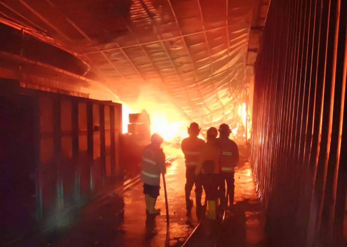 Gudang Perusahaan Kayu di Pasuruan Ludes Terbakar, Kerugian Ditaksir Rp5 Miliar