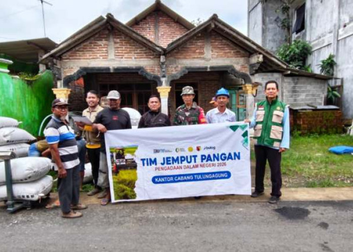 Bulog Tulungagung Gencarkan Serapan Gabah dan Jagung Selama Ramadan 2026