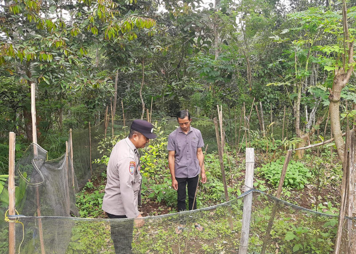 Bhabinkamtibmas Polsek Ngrambe Ajak Warga Manfaatkan Pekarangan untuk Ketahanan Pangan