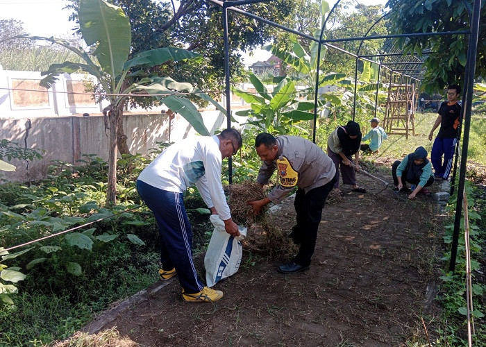 Tiga Pilar Singonegaran dan Mahasiswa KKN Tanam Bibit Terong Dukung Ketahanan Pangan