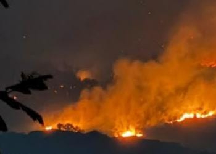  Kebakaran Arjuno-Welirang Dekati Permukiman, Jarak Titik Api Capai 2 Kilometer