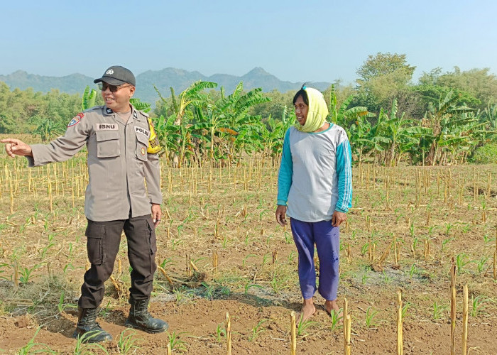 Bhabinkamtibmas Pojok Aktif Dampingi Petani, Dukung Ketahanan Pangan di Kota Kediri