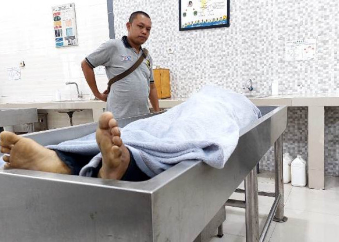 Sindikat Spesialis Pikap dan Motor Asal Pasuruan Juga Beraksi di Surabaya