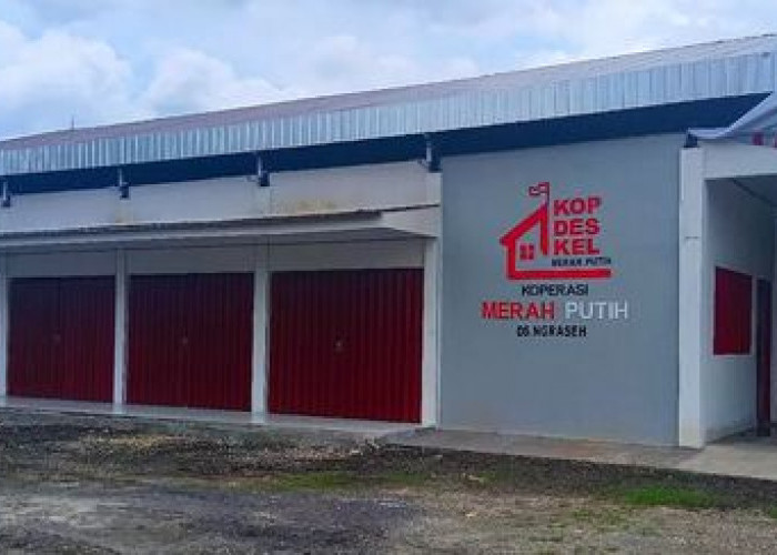  Pemerintah Pastikan SDM Penggerak KDKMP dan KNMP