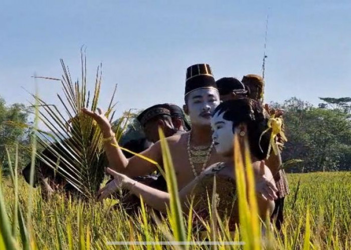 Disbudparpora Ponorogo Apresiasi Tradisi Methik Padi Desa Glinggang