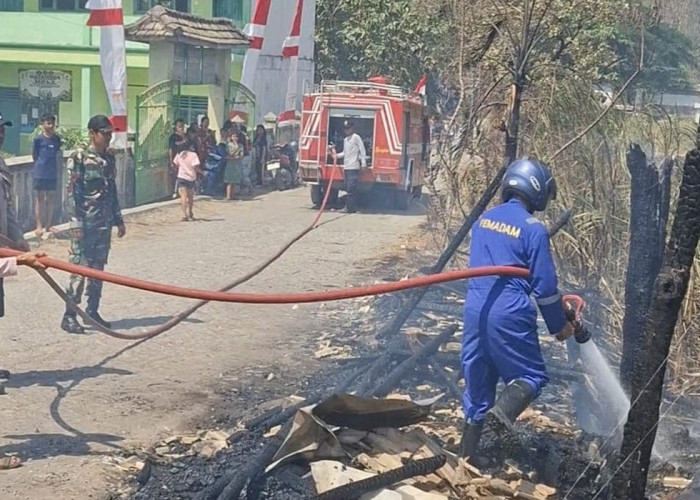 Kebakaran Lahan Tebu di Sambeng Lamongan Lahap Warung Warga, Rugi Rp 20 Juta