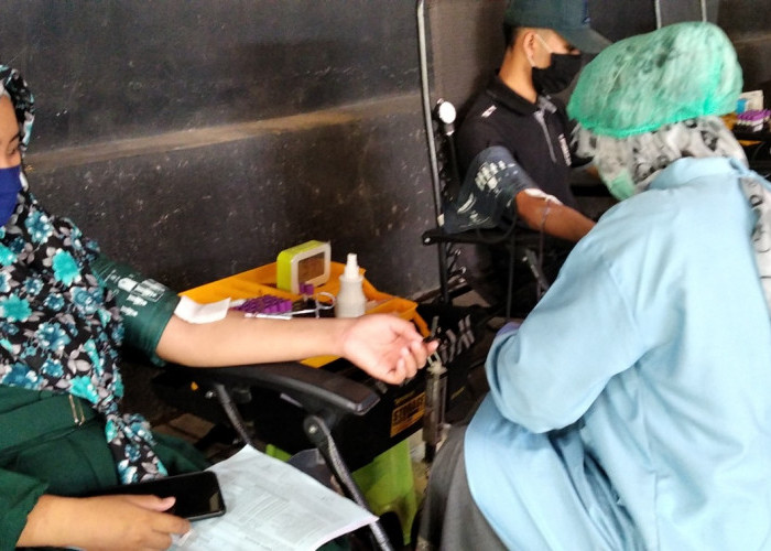 Stok Darah PMI Jember Cukup untuk Hadapi Peningkatan Pasien Demam Berdarah di Musim Hujan