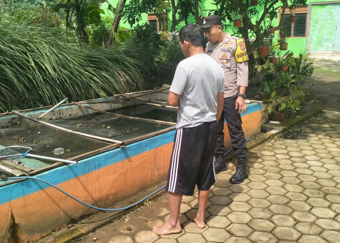 Bhabinkamtibmas Polsek Jogorogo Dorong Budidaya Lele, Optimalkan Pekarangan untuk Ketahanan Pangan