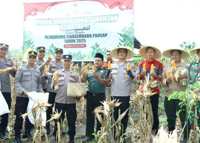 Kapolres Gresik Ikut Panen Raya Jagung, Dukung Swasembada Pangan 2025
