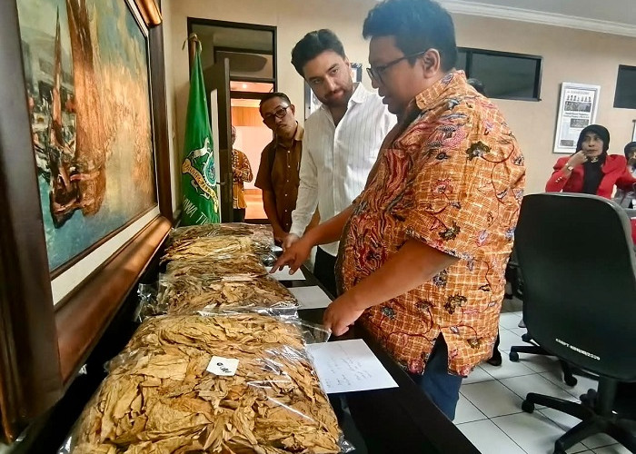 Bidik Pasar Tembakau Jatim, Kadin Tantang Pakistan Transfer Teknologi dan Bibit
