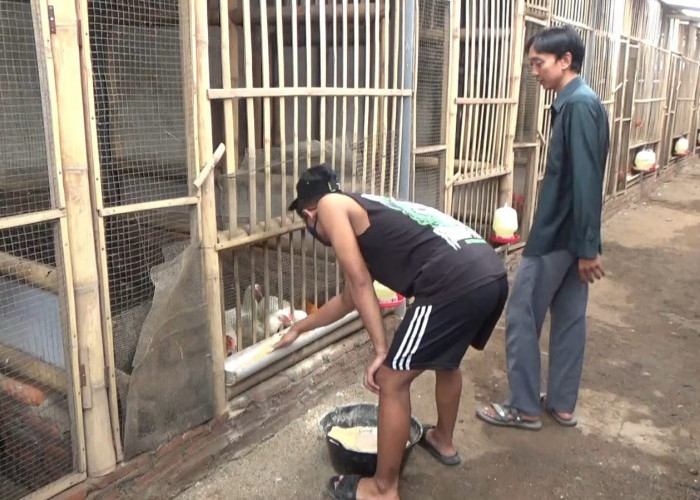 Bentuk Karakter ABH Via Bengkel Jiwa Jember, dari Kandang Ayam hingga Masa Depan Cerah