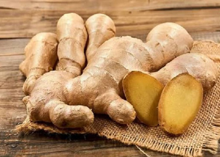 Kenapa Jahe Bikin Tubuh Terasa Hangat? Ini Penjelasan Gingerol dan Shogaol